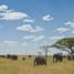 Dobrodružné safari aneb 10 nej národních parků Afriky