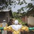 Druhá největší epidemie eboly v historii decimuje Demokratickou republiku Kongo