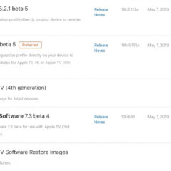 Apple Seeds tvOS 12.3 Beta 5 and watchOS 5.2.1 Beta 5 to Developers [Download]