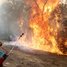 Australské požáry přehledně: Proč kontinent hoří, jaké jsou důsledky a jak to souvisí s klimatem