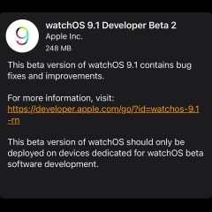 Apple Seeds watchOS 9.1 Beta 2 to Developers [Download]