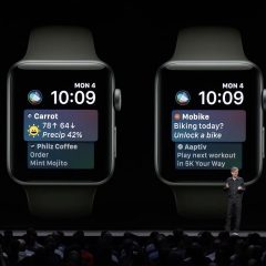 Apple to Introduce New Widgets System for Apple Watch in watchOS 10 [Gurman]